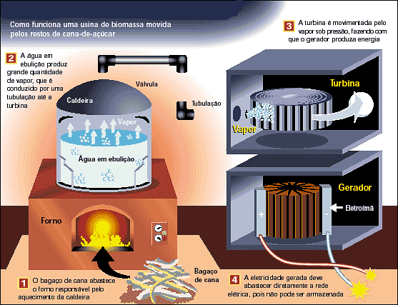 Como funciona: Biomassa – Energia Inteligente