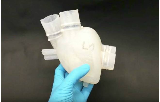 Coração artificial impresso em 3D bate como se fosse o órgão real; veja o vídeo