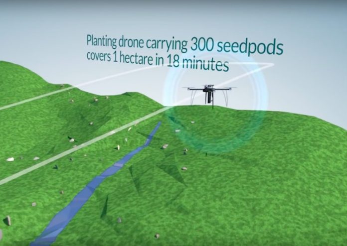Drones ajudam a combater o desmatamento plantando 100 mil árvores por dia