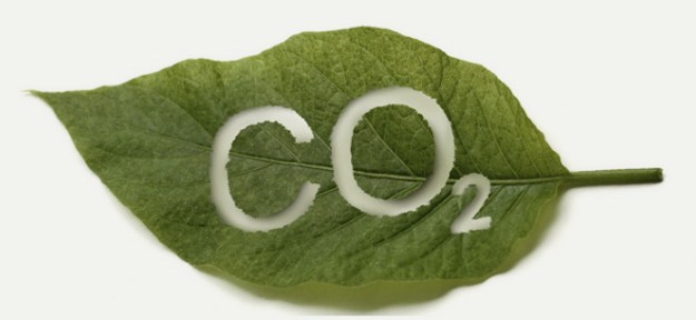 Veja como é possível converter CO2 em plástico