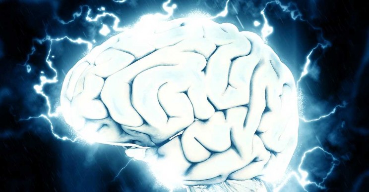Researchers May Have Found the Key to Engineering Electronic Brains