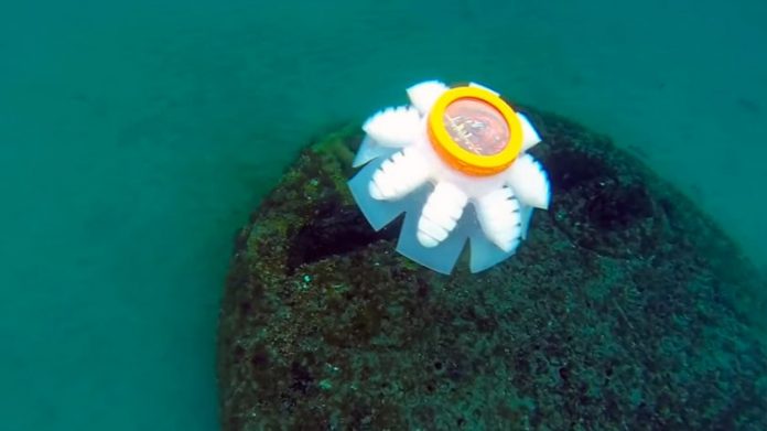 Água-viva robótica vai monitorar os mares para protegê-los