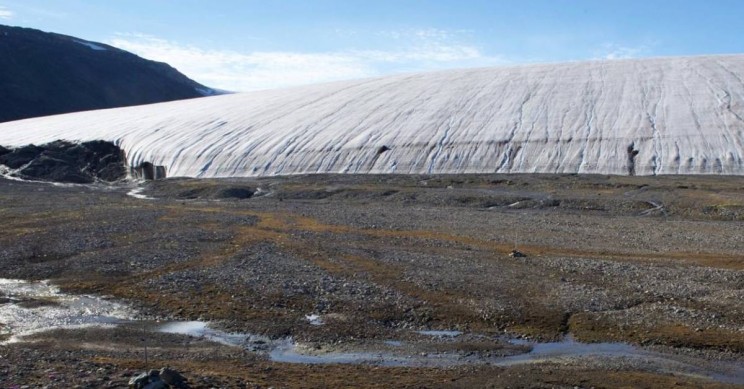 Melting Arctic Glaciers Reveal New Fungi While Ocean Temperatures Break Records