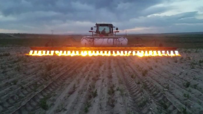 Este trator “lança-chamas” se livra de ervas daninhas sem a necessidade de produtos químicos