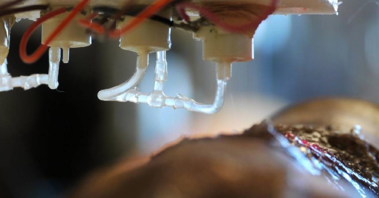 Scientists Engineer a Bioprinter That Can Print Skin to Heal Wounds