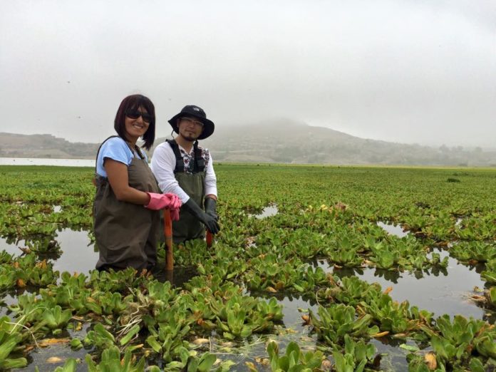 Lagoa no Peru em dois meses é despoluída por completo usando nanotecnologia