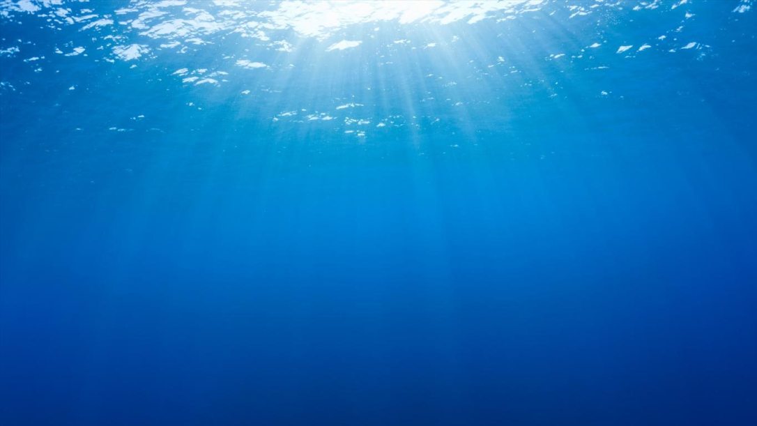 Cientistas criam ímãs com base de carbono para limpar a contaminação de microplásticos em mares e rios